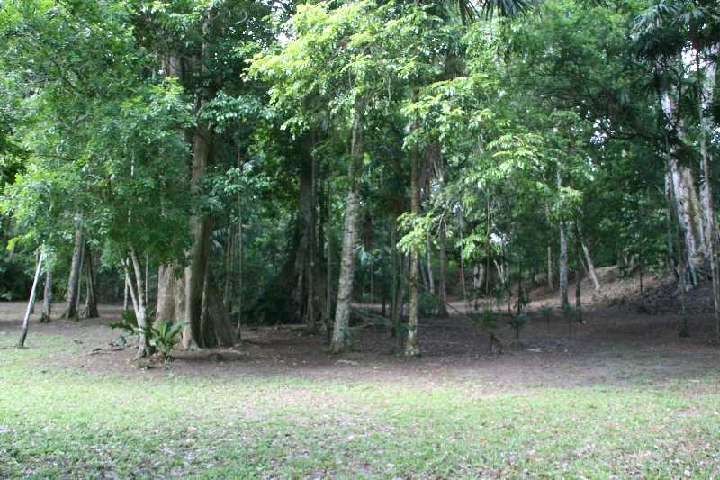 Mexico & Guatemala 2010 - 1079